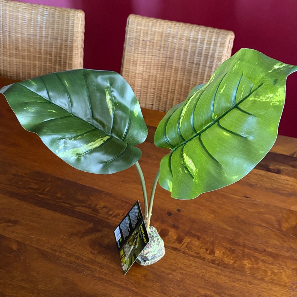 New Exo-Terra Smart Plant Scindapsus Ideal for Terrariums